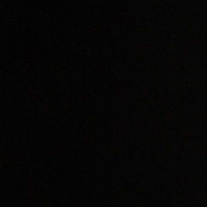 Meet your Posher, Angelina